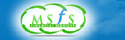 MS Financial Services