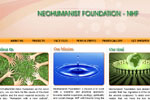 Neo Humanist Foundation