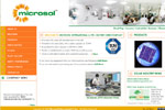 Microsol International